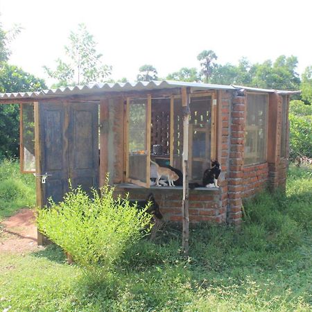 Beyond Community Leilighet Auroville Eksteriør bilde