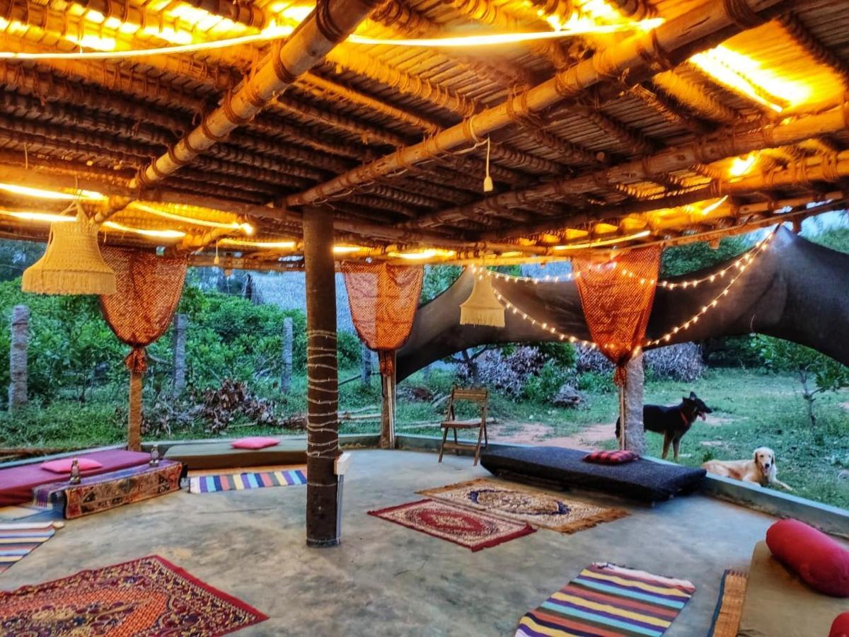 Beyond Community Leilighet Auroville Eksteriør bilde