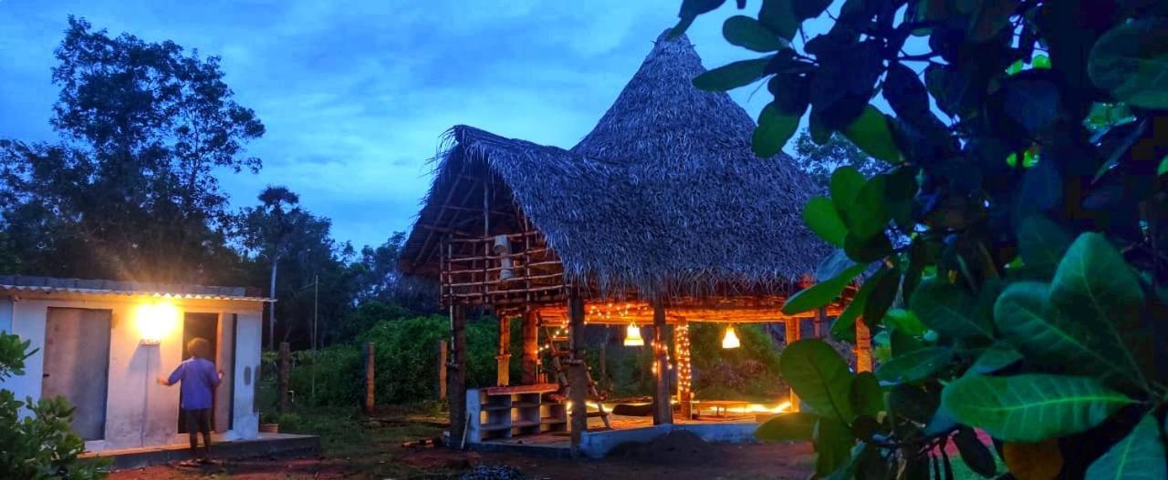 Beyond Community Leilighet Auroville Eksteriør bilde