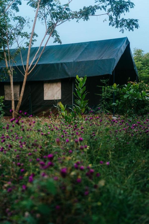 Beyond Community Leilighet Auroville Eksteriør bilde