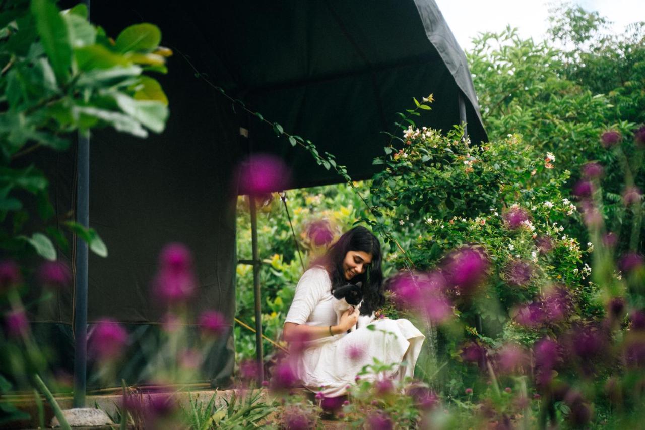Beyond Community Leilighet Auroville Eksteriør bilde