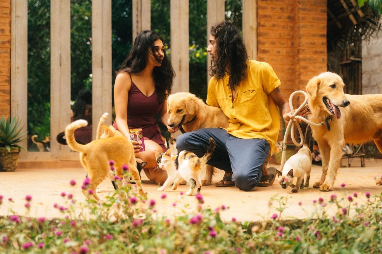 Beyond Community Leilighet Auroville Eksteriør bilde