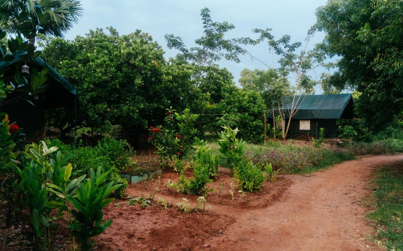 Beyond Community Leilighet Auroville Eksteriør bilde
