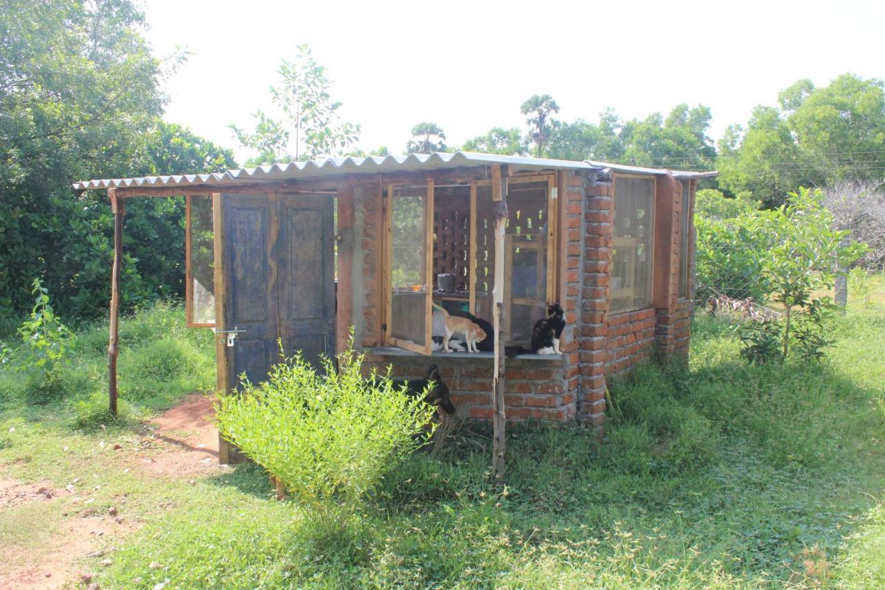 Beyond Community Leilighet Auroville Eksteriør bilde
