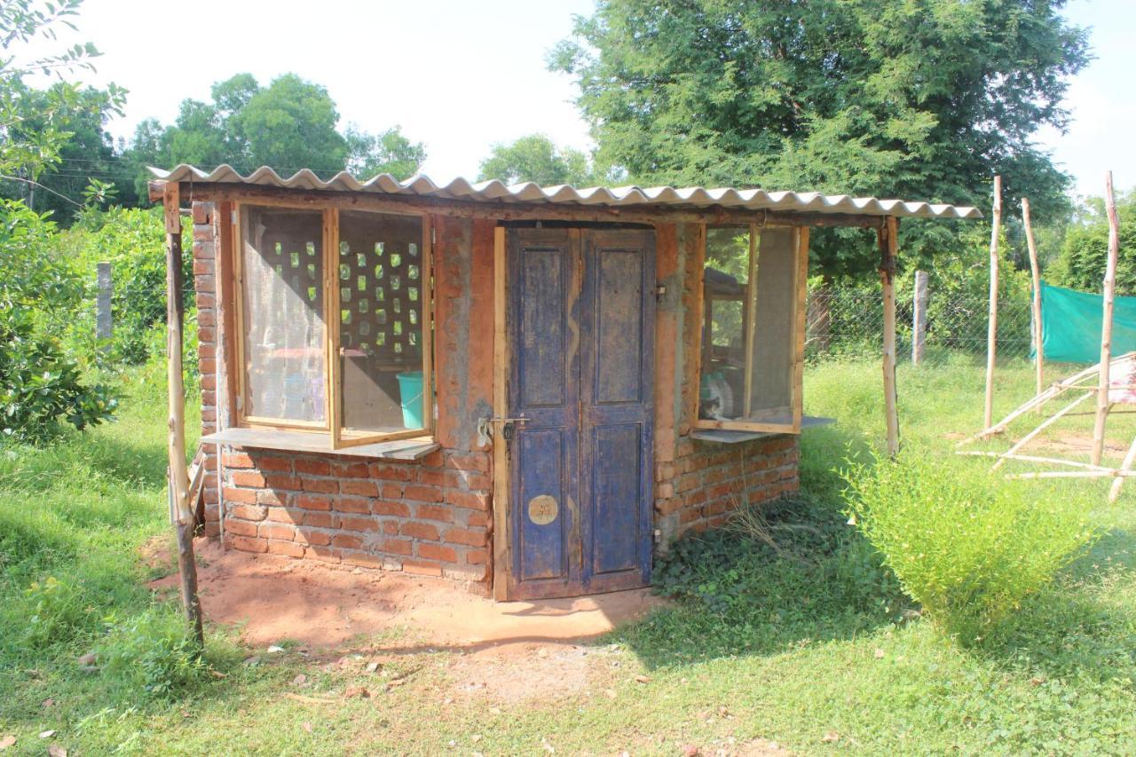 Beyond Community Leilighet Auroville Eksteriør bilde