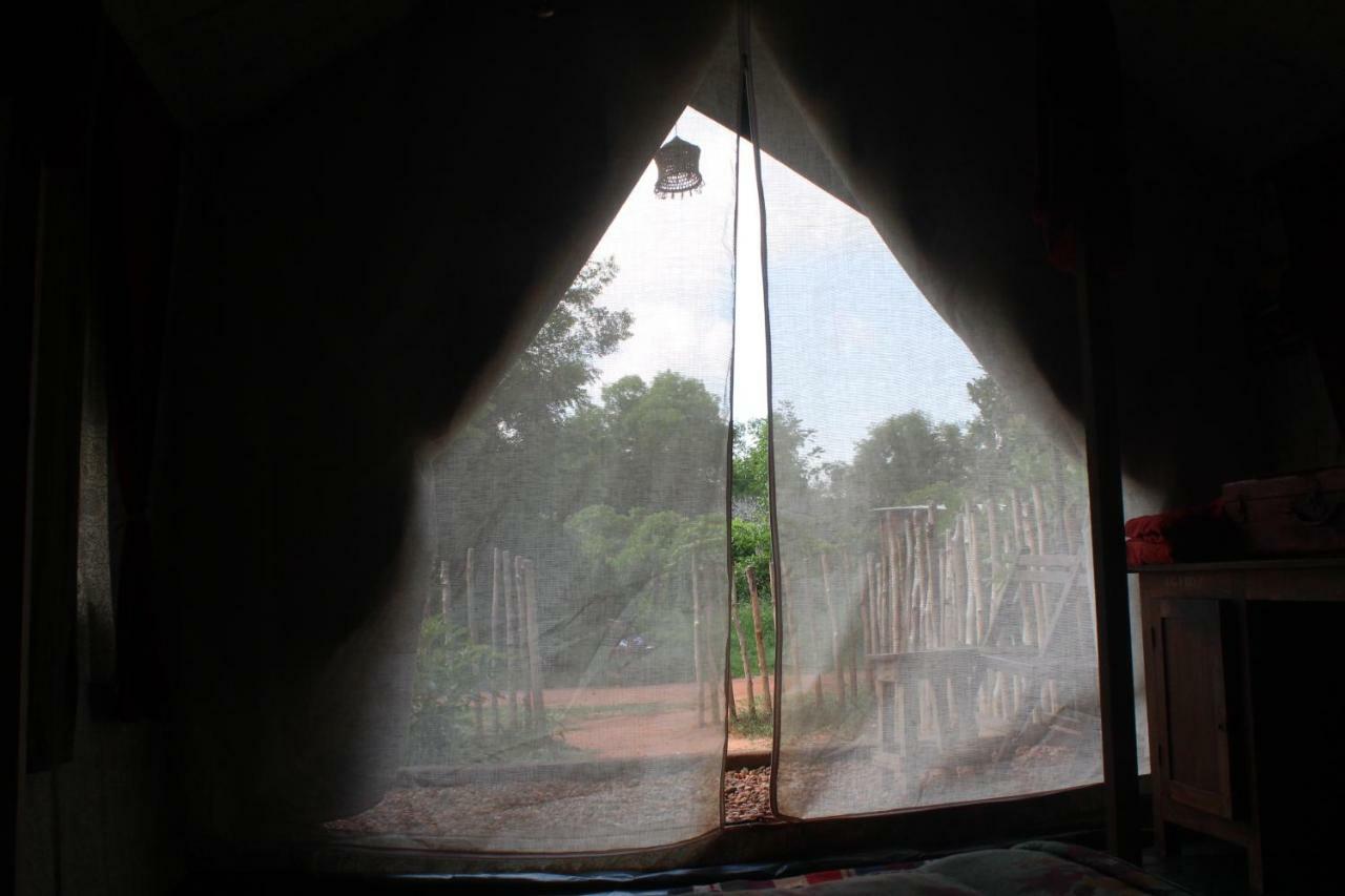 Beyond Community Leilighet Auroville Eksteriør bilde